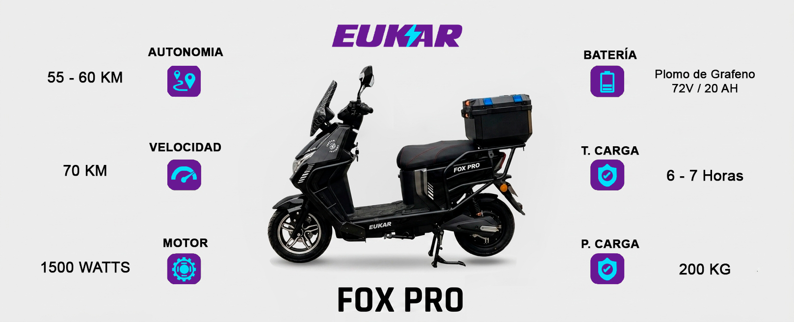 Fox Pro