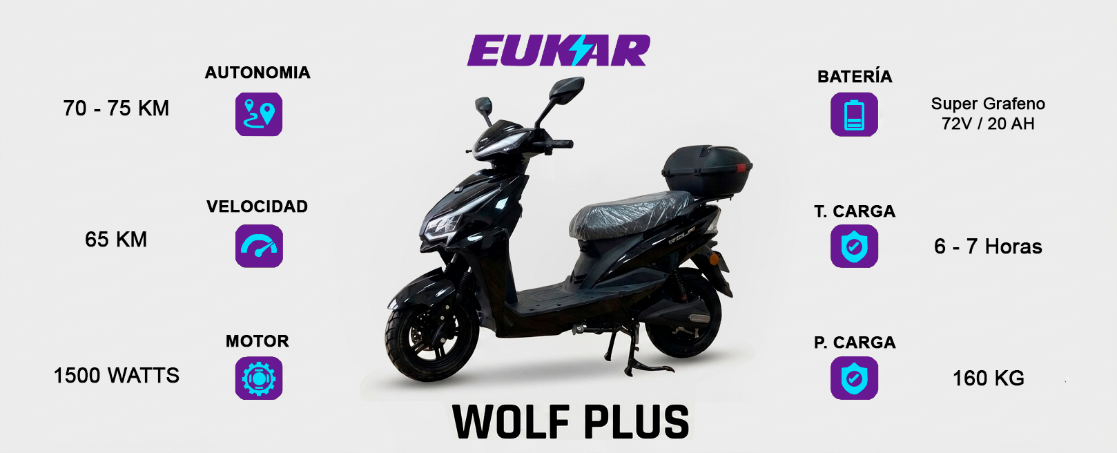 Wolf Plus