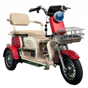 Trimoto Family PRO