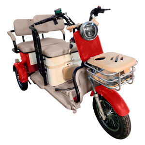 Trimoto Family Premium